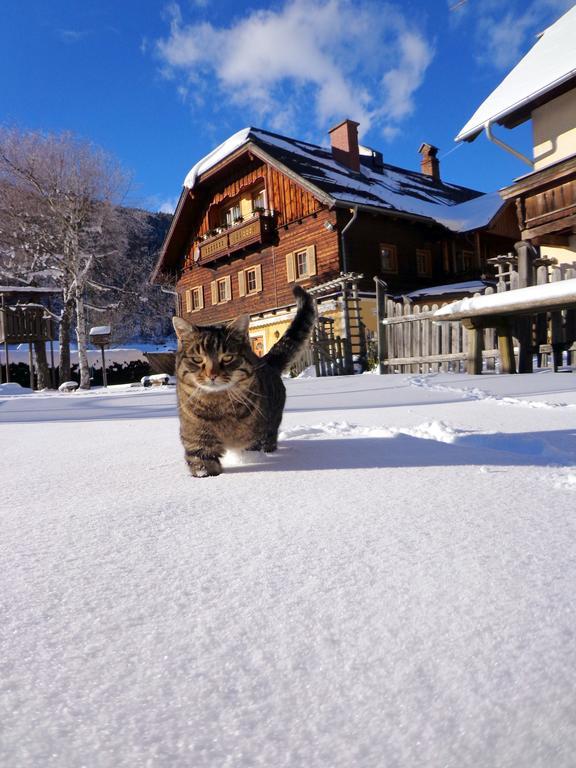 Gut Neusess Villa Mauterndorf  Dış mekan fotoğraf