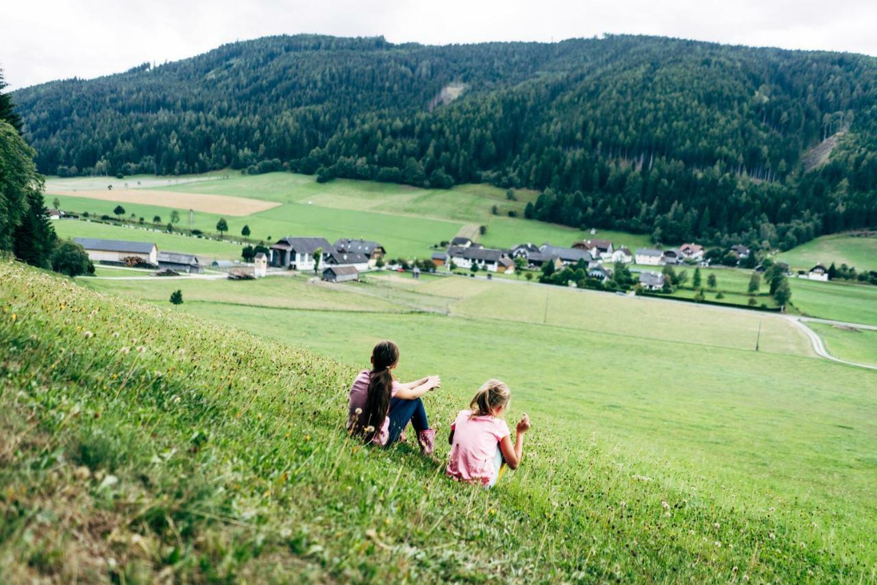 Gut Neusess Villa Mauterndorf  Dış mekan fotoğraf