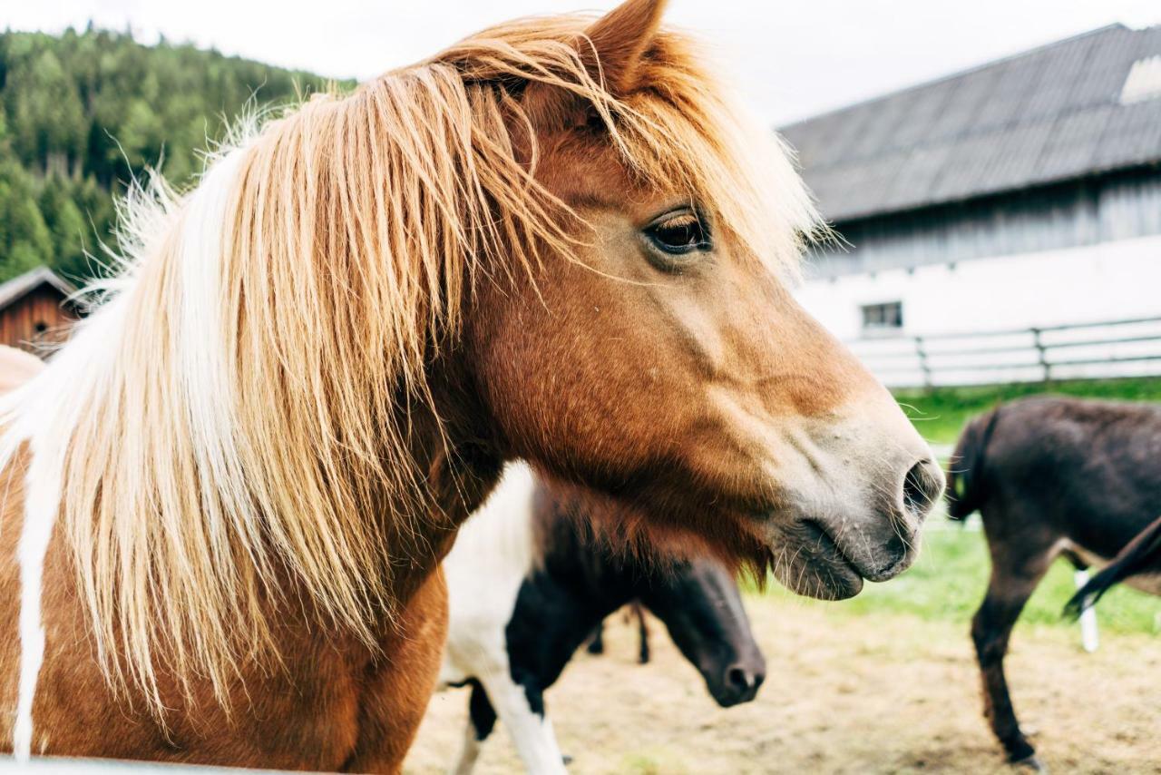 Gut Neusess Villa Mauterndorf  Dış mekan fotoğraf