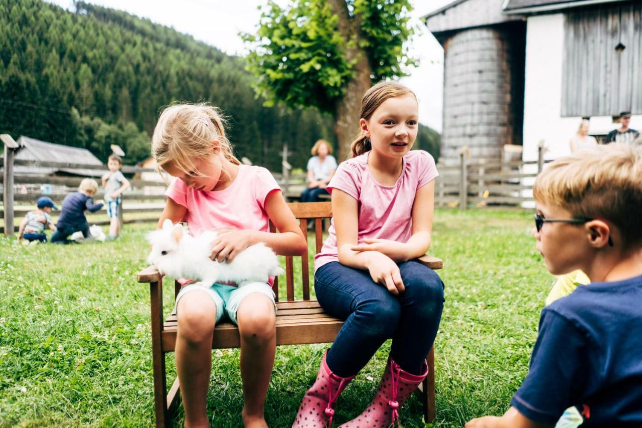 Gut Neusess Villa Mauterndorf  Dış mekan fotoğraf